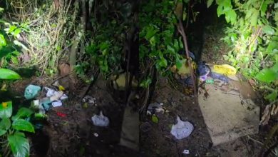 Homem é encontrado dormindo às margens do rio no Parque Henry Paul, em Timbó