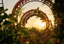 Adeus à Star Mountain: montanha-russa histórica do Beto Carrero terá última volta em setembro