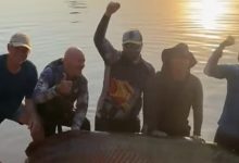 Grupo de SC participa de pesca de pirarucu com 2,45 metros após viagem de mais de 2 mil km