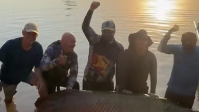 Grupo de SC participa de pesca de pirarucu com 2,45 metros após viagem de mais de 2 mil km