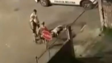 Cachorro é morto a tiros por PM durante abordagem em SC e caso gera revolta