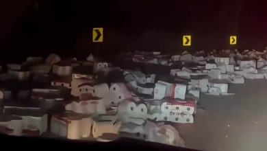 Motorista perde carga de papel higiênico em rodovia de SC, mas recebe ajuda inesperada
