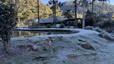 Santa Catarina amanhece sob temperaturas negativas e geada cobre cidades de branco