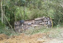Susto na estrada: ônibus com crianças despenca em ribanceira de 10 metros em SC