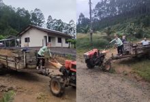 Aos 6 anos, pequeno agricultor encanta moradores de Rodeio com dedicação à roça
