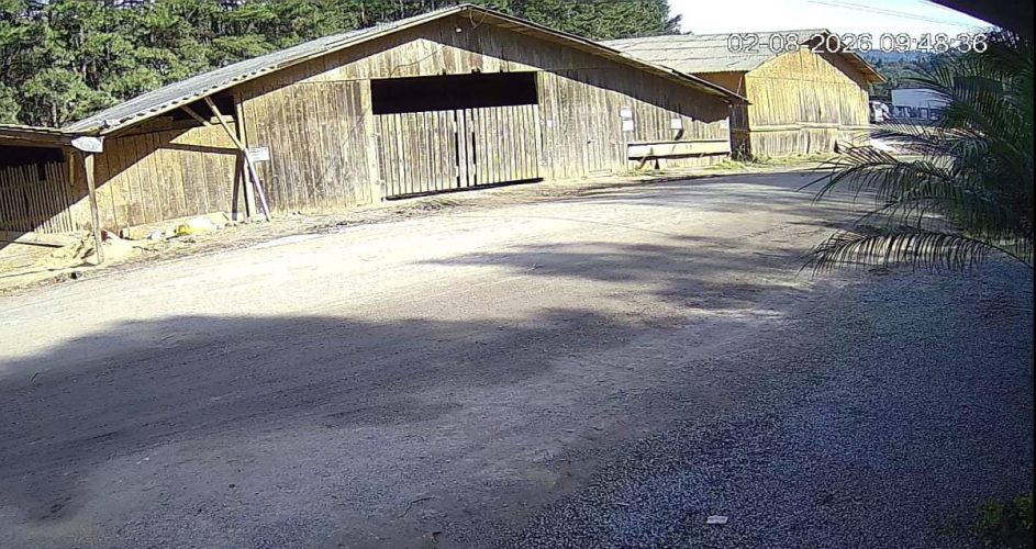 “A gente vai continuar”: após incêndio e furto, família de Benedito Novo busca forças para reconstruir empresa