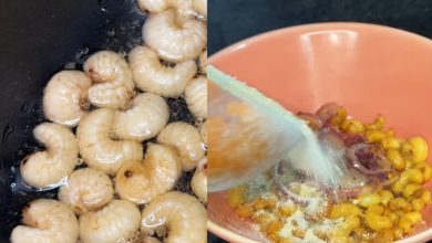 Você teria coragem de provar? Influenciador prepara larvas como alimento em receita inusitada