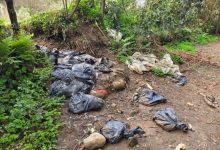 Mais de 20 cães são encontrados mortos em sacos de lixo em SC