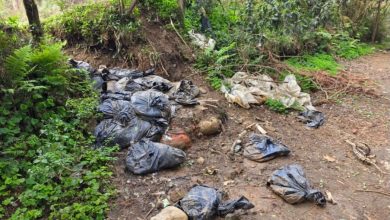 Mais de 20 cães são encontrados mortos em sacos de lixo em SC