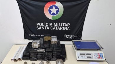 Quase 19 quilos de maconha são apreendidos em residência em Blumenau