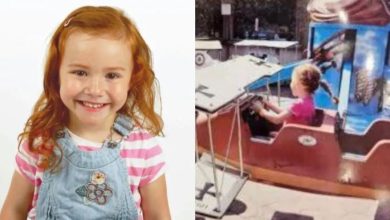 Foto escondida em avião revela último sonho de menina que morreu aos 4 anos