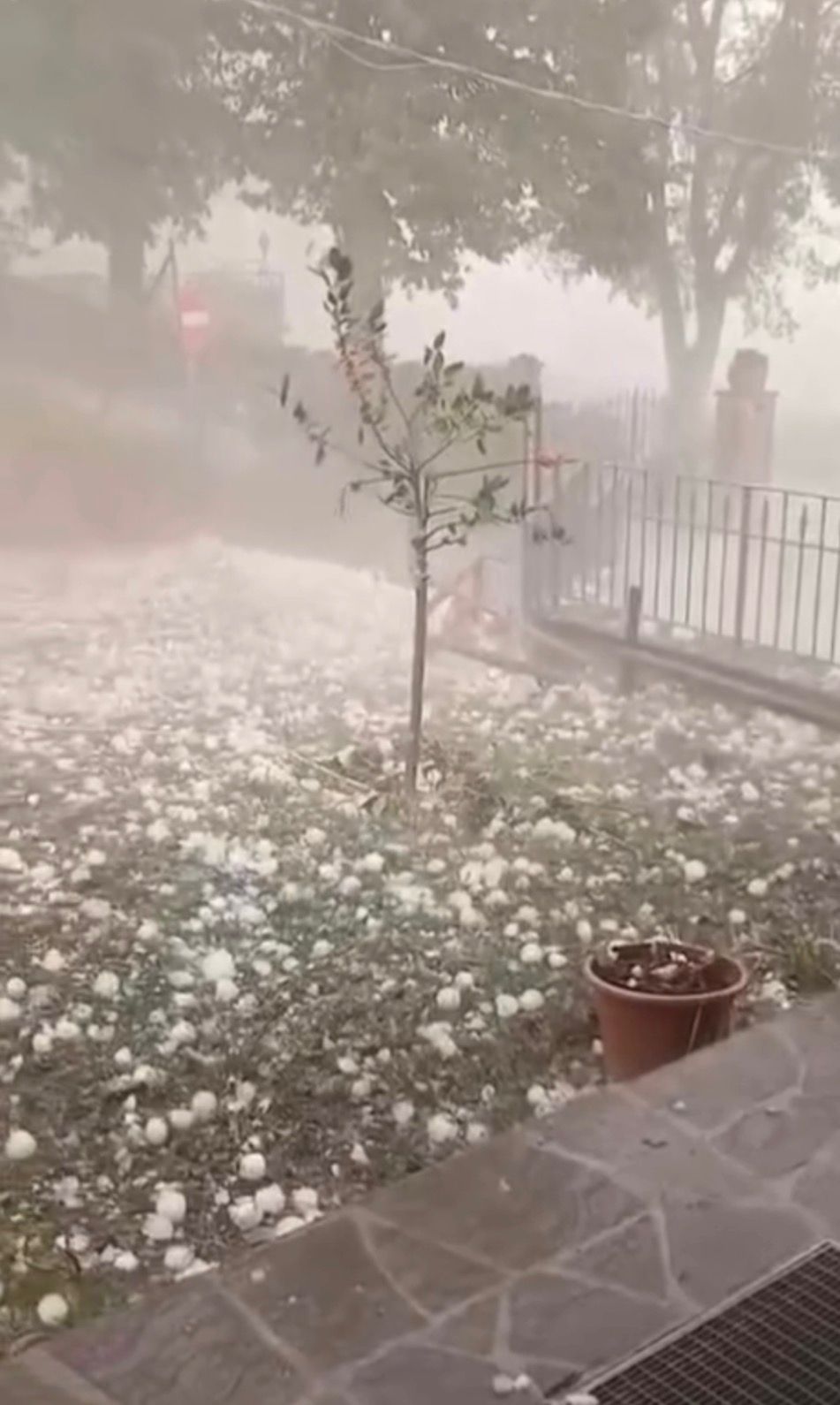 ‘Chuva de pedras’ do tamanho de ovos assusta moradores e causa estragos em 60% de município gaúcho