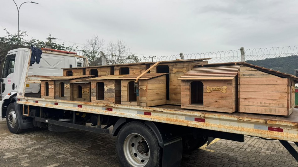 Presídio vira fábrica de abrigos: apenados produzem mais de 20 casinhas para animais em Blumenau