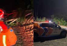 Barreira cai, árvore bloqueia rua e Rio Benedito passa de 5,5 metros durante madrugada em Timbó