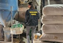 Fábrica de ração sem registro é flagrada com sujeira e pragas em Blumenau