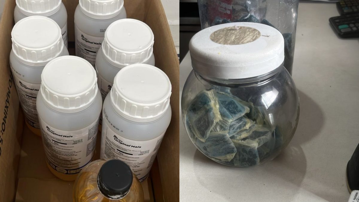 Veneno à venda e animais mortos: operação expõe cenário chocante em Blumenau