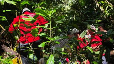 Gritos de socorro ajudam a salvar homem que caiu de cachoeira em Ascurra