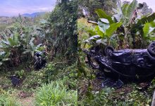 Carro sai da pista, capota e cai em ribanceira de 20 metros na BR-470, em Indaial