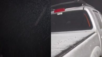 Neve dá as caras na Serra de SC e encanta visitantes durante onda de frio