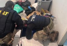 Polícia descobre 231 quilos de cocaína escondidos em compartimento sob o piso de casa em Itajaí