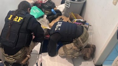 Polícia descobre 231 quilos de cocaína escondidos em compartimento sob o piso de casa em Itajaí
