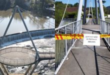 Enxame de abelhas interrompe acesso a ponte no Jardim do Imigrante, em Timbó