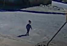 Bebê de 1 ano sai de creche sem ser percebido e chega sozinho ao trabalho da mãe em SC