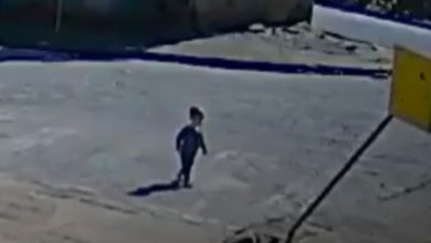 Bebê de 1 ano sai de creche sem ser percebido e chega sozinho ao trabalho da mãe em SC