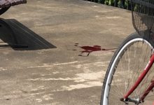 Mistério do sangue em rua de Timbó é desvendado; veja o que ocorreu