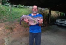 Pescador de 72 anos fisga catfish de 8 kg e comemora captura em Timbó