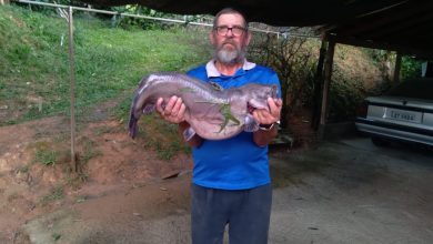 Pescador de 72 anos fisga catfish de 8 kg e comemora captura em Timbó