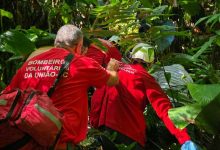 Homem de 58 anos fica ferido após queda de 6 metros em cachoeira de Ascurra