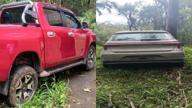 Dois veículos furtados são achados escondidos em meio à vegetação em Rio dos Cedros