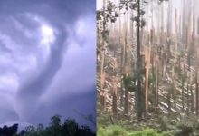 Dois tornados atingem o Paraná em menos de 24 horas e deixam rastro de destruição