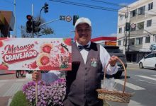 Garçom transforma semáforo em negócio de sucesso vendendo morangos cravejados e fatura R$ 4,5 mil em SC