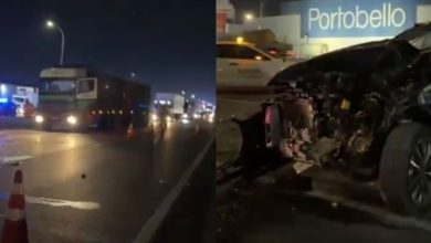 Dois cavalos na BR-101 causam capotamento e deixam feridos em SC