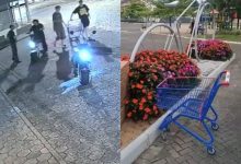 “Gangue das motinhos” leva carrinho de supermercado para "passear" de madrugada em Timbó