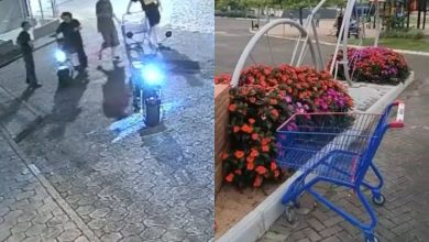 “Gangue das motinhos” leva carrinho de supermercado para "passear" de madrugada em Timbó