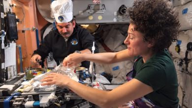 Sem forno e em gravidade zero: astronautas revelam como cozinham no espaço