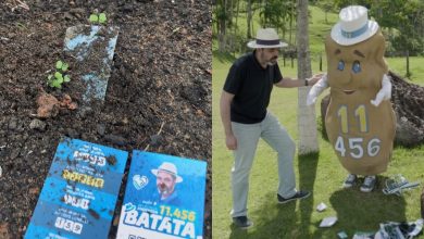 Santinho que vira planta? Candidato aposta em papel-semente em SC
