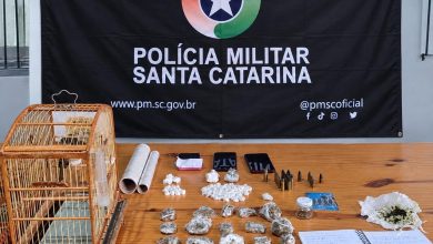 PM desmantela ponto de tráfico e encontra drogas, munições e aves silvestres em Timbó