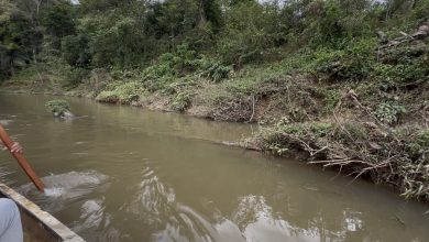 Blumenau tem R$ 9,7 milhões disponíveis, mas não prevê obras contra cheias