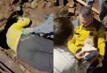 Cão é retirado de tubulação com cerca de 75 metros após operação de resgate em SC