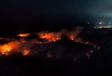 Amazônia pega fogo e silêncio dos artistas vira alvo de críticas: cadê eles agora?