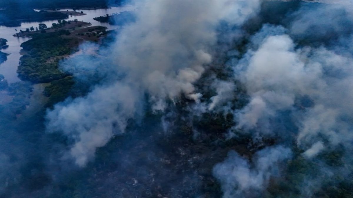 Amazônia pega fogo e silêncio dos artistas vira alvo de críticas: cadê eles agora?