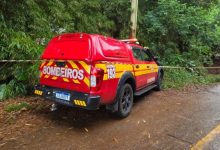 Após três dias de buscas, menino com TEA é encontrado morto em rio de SC