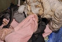Crueldade em SC: seis homens invadem casa e ateiam fogo em cama com idoso acamado