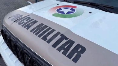 Homem é preso após destruir espelho e xingar policiais na Festa do Imigrante