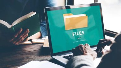 Como organizar arquivos digitais e facilitar o dia a dia com ferramentas online