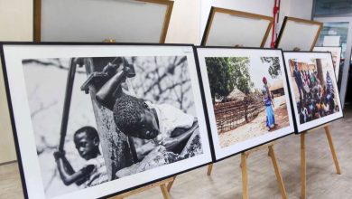 Bauernmalerei ganha exposição no Museu do Imigrante de Timbó